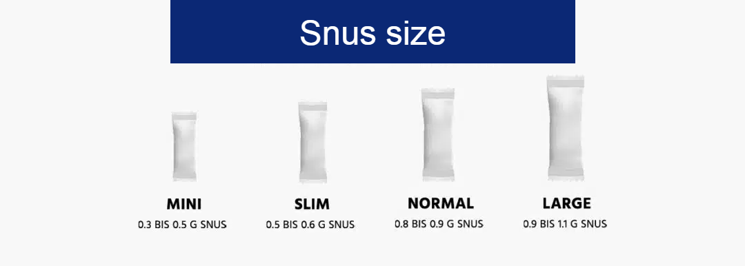 Top 10 Best Mini Snus 2024